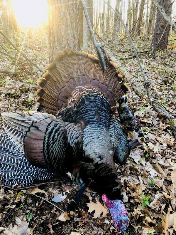 Gallery Lights Out Custom Calls