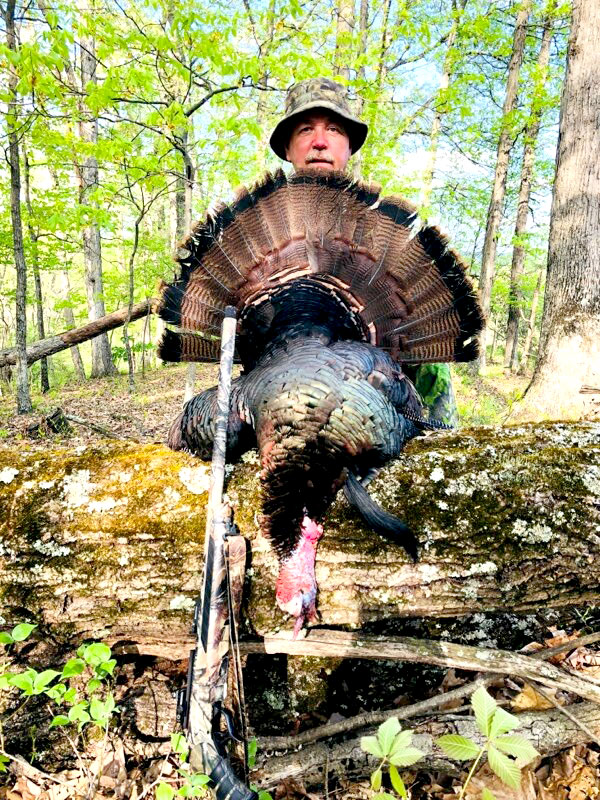 Gallery Lights Out Custom Calls