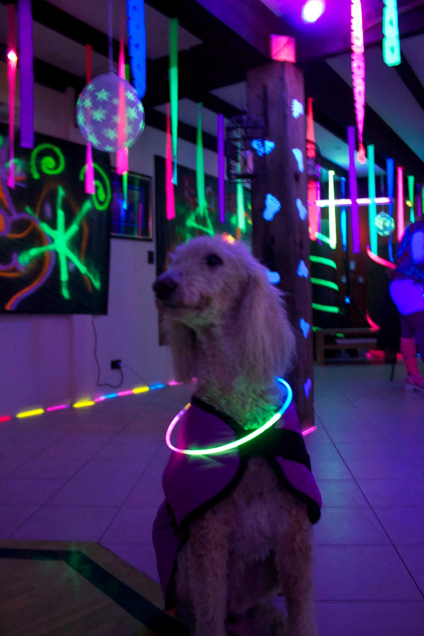 Planning an awesome UV/Black Light Party! Lights To Party