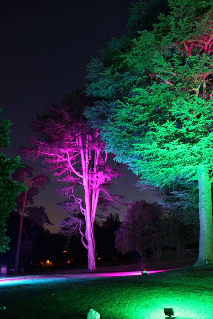 Tree of light LIGHT TALK