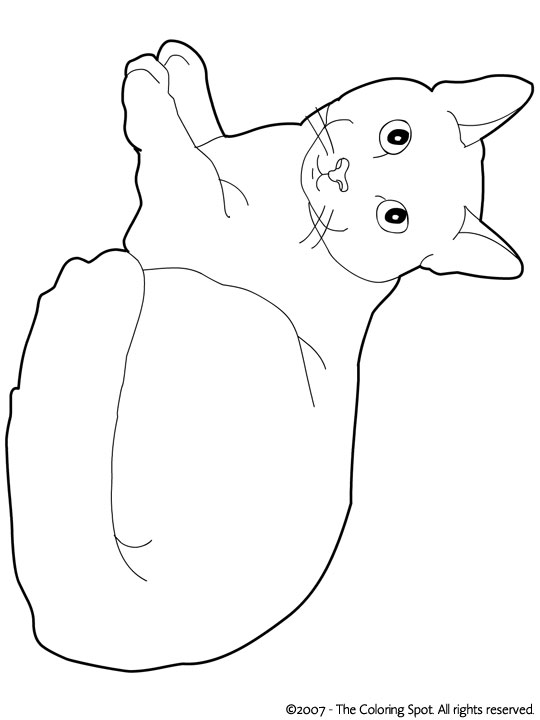 Russian Blue Coloring Page Audio Stories for Kids Free Coloring