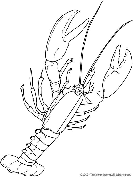 lobster coloring pages