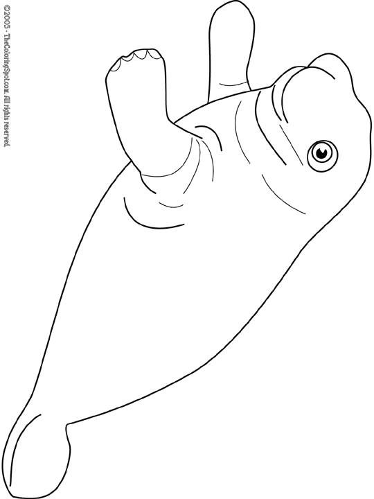 Manatee Coloring Page Audio Stories for Kids Free