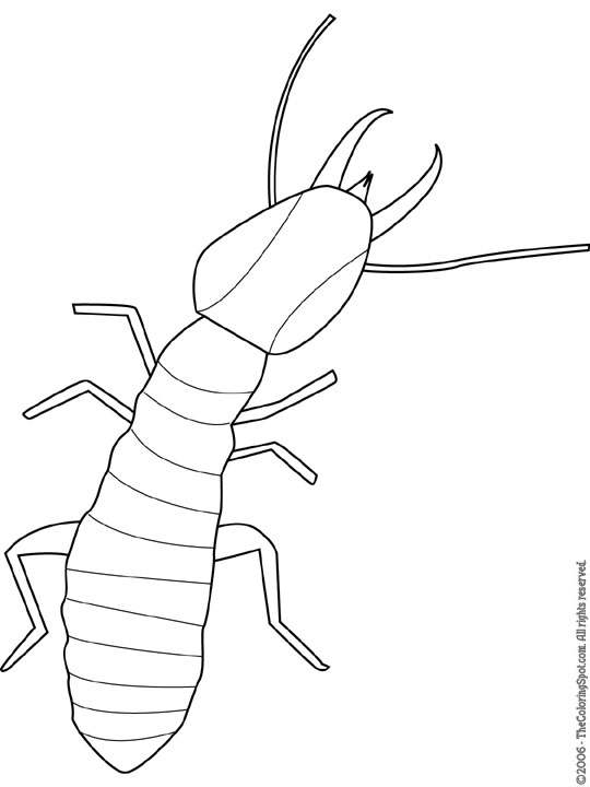 Termite Coloring Page Audio Stories for Kids Free Coloring Pages Colouring Printables
