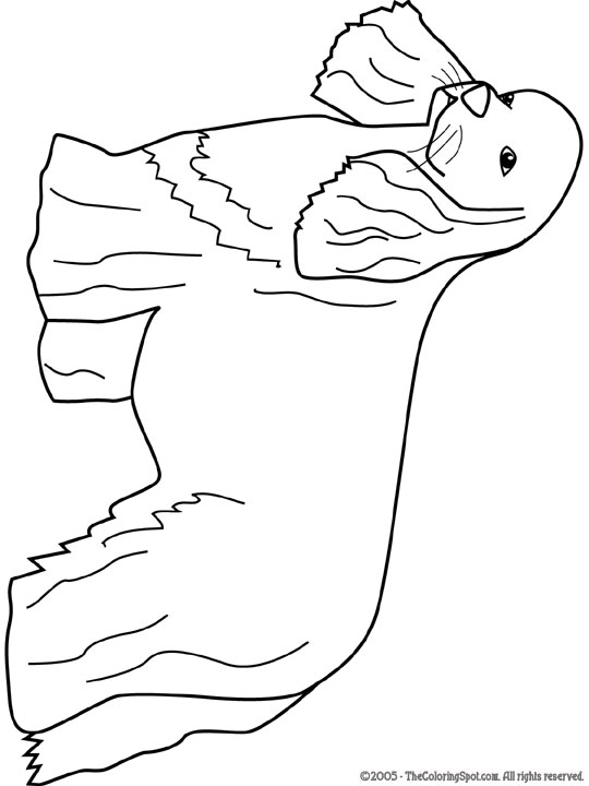 Cocker Spaniel Coloring Page Audio Stories for Kids Free Coloring