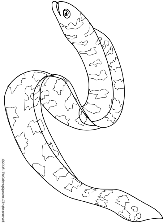 Eel Coloring Page 1 Audio Stories for Kids Free Coloring Pages