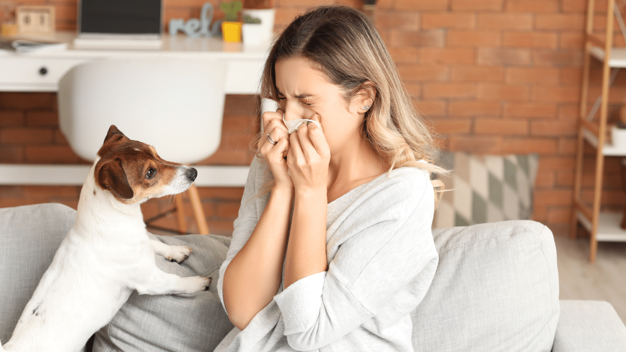 Lignosus A Natural Solution for Allergic Rhinitis Lignosus