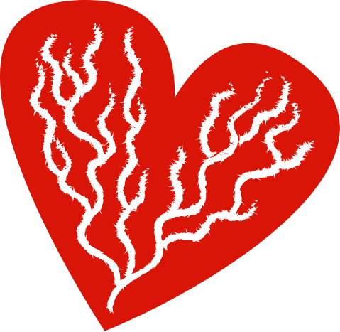 Ik Ben Een Hartpatient - Belgische Cardiologishe Liga