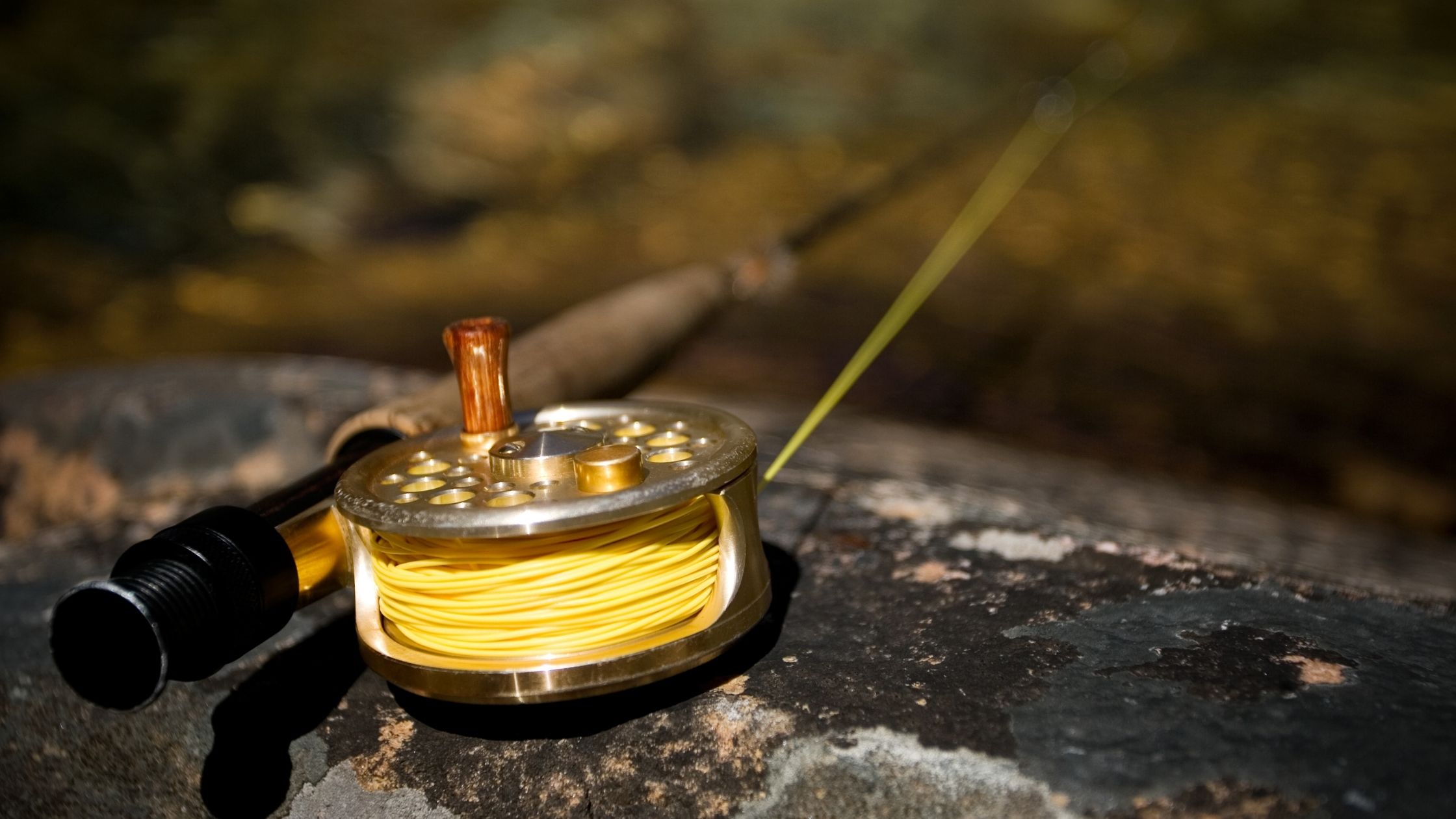 Types of Fishing Rods