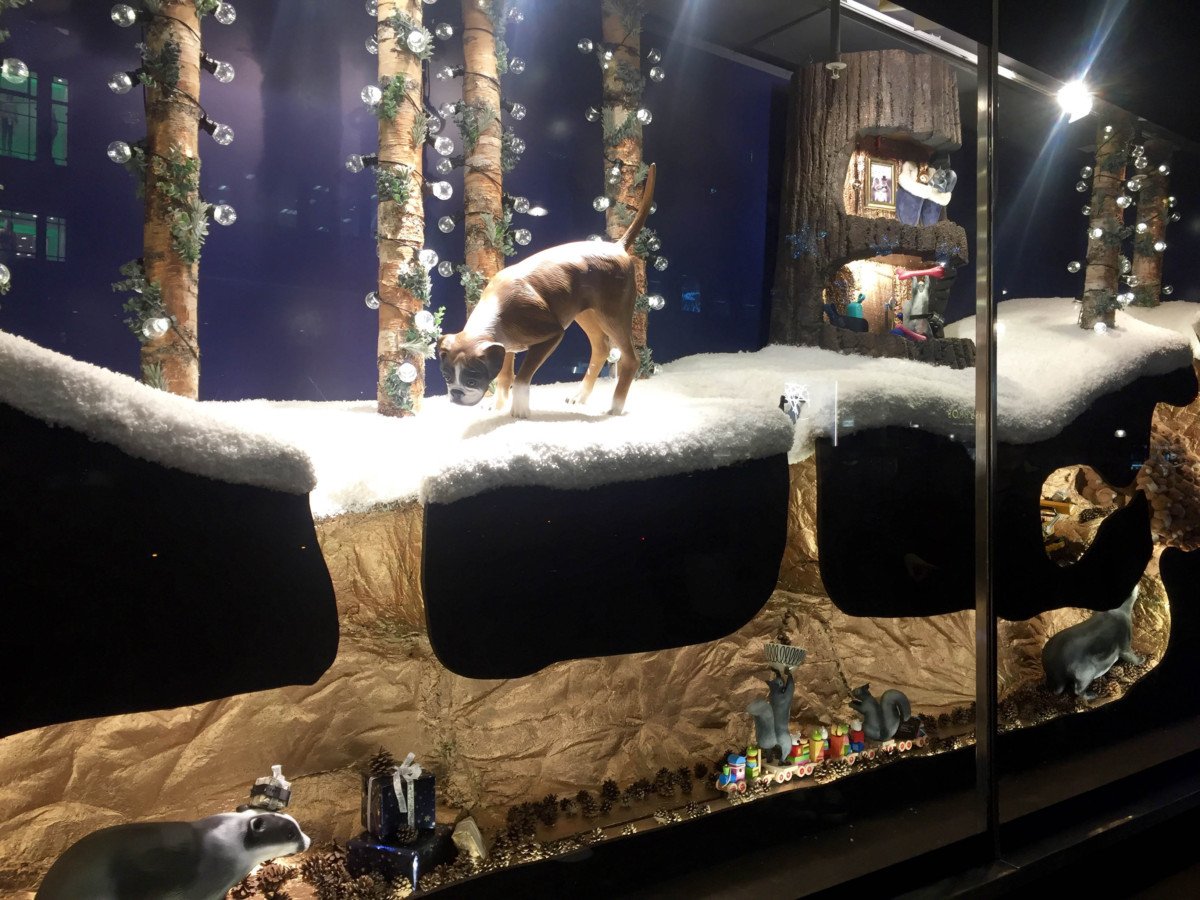 John Lewis, Buster the Boxer Christmas Windows. like love do