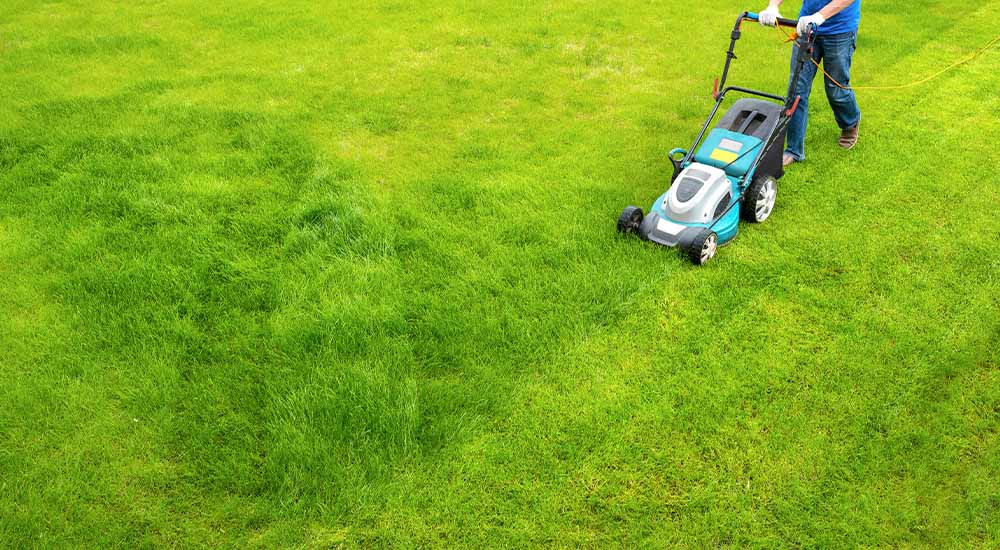 What Time Can I Mow My Lawn In Melbourne? Mowing Times
