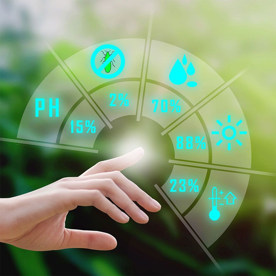 Balancing Your Soil pH & Why It Matters Lilydale Instant Lawn