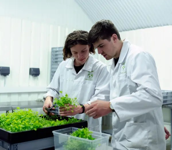 Best Sustainability Masters Programs MBA Sustainability Programs