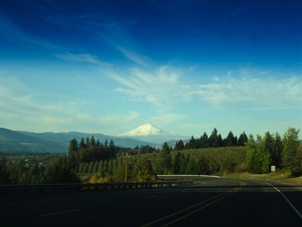 Apple Picking in Hood River lil bit