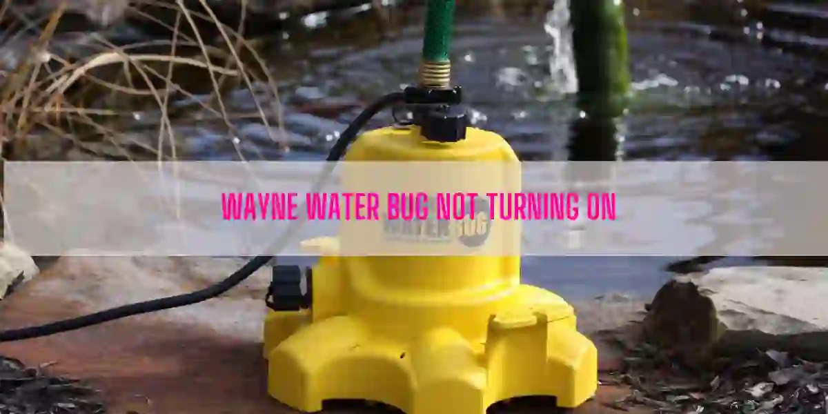 Why Is My Wayne Water Bug Not Turning On?