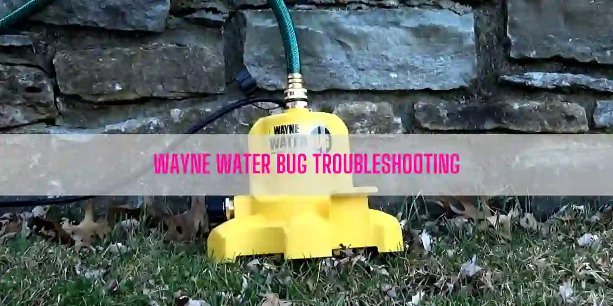 Wayne Water Bug Troubleshooting [Complete Guide]