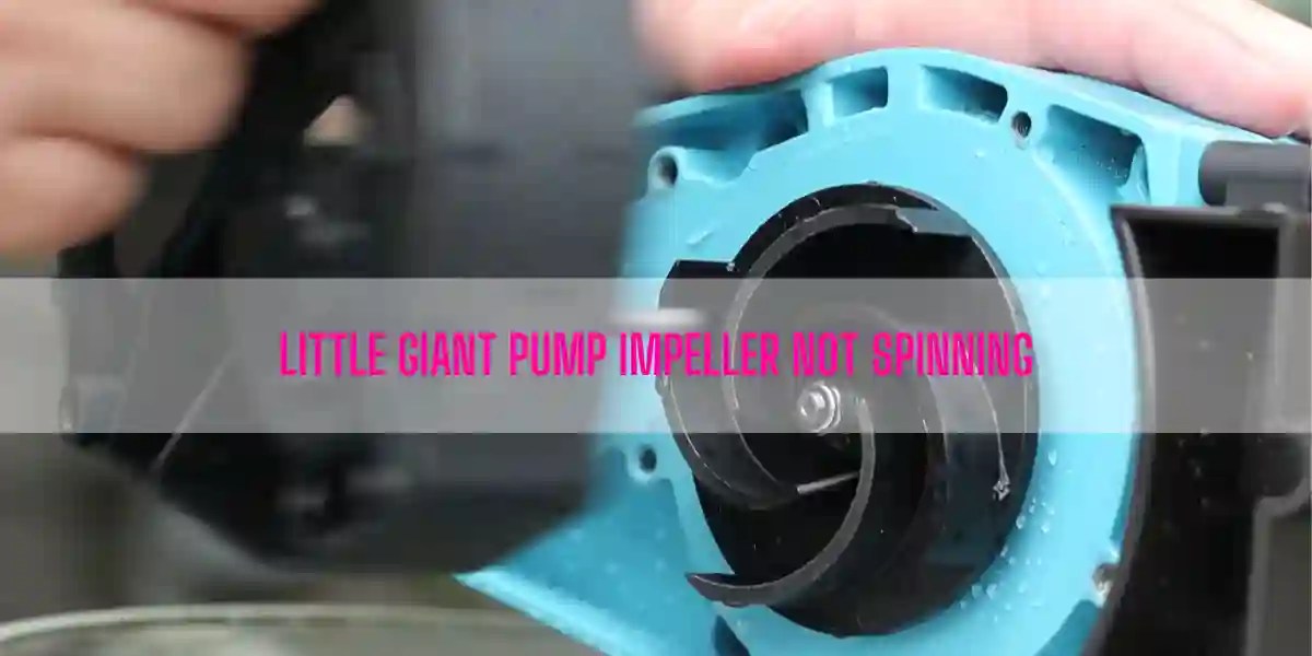 Why Is My Little Giant Pump Impeller Not Spinning?