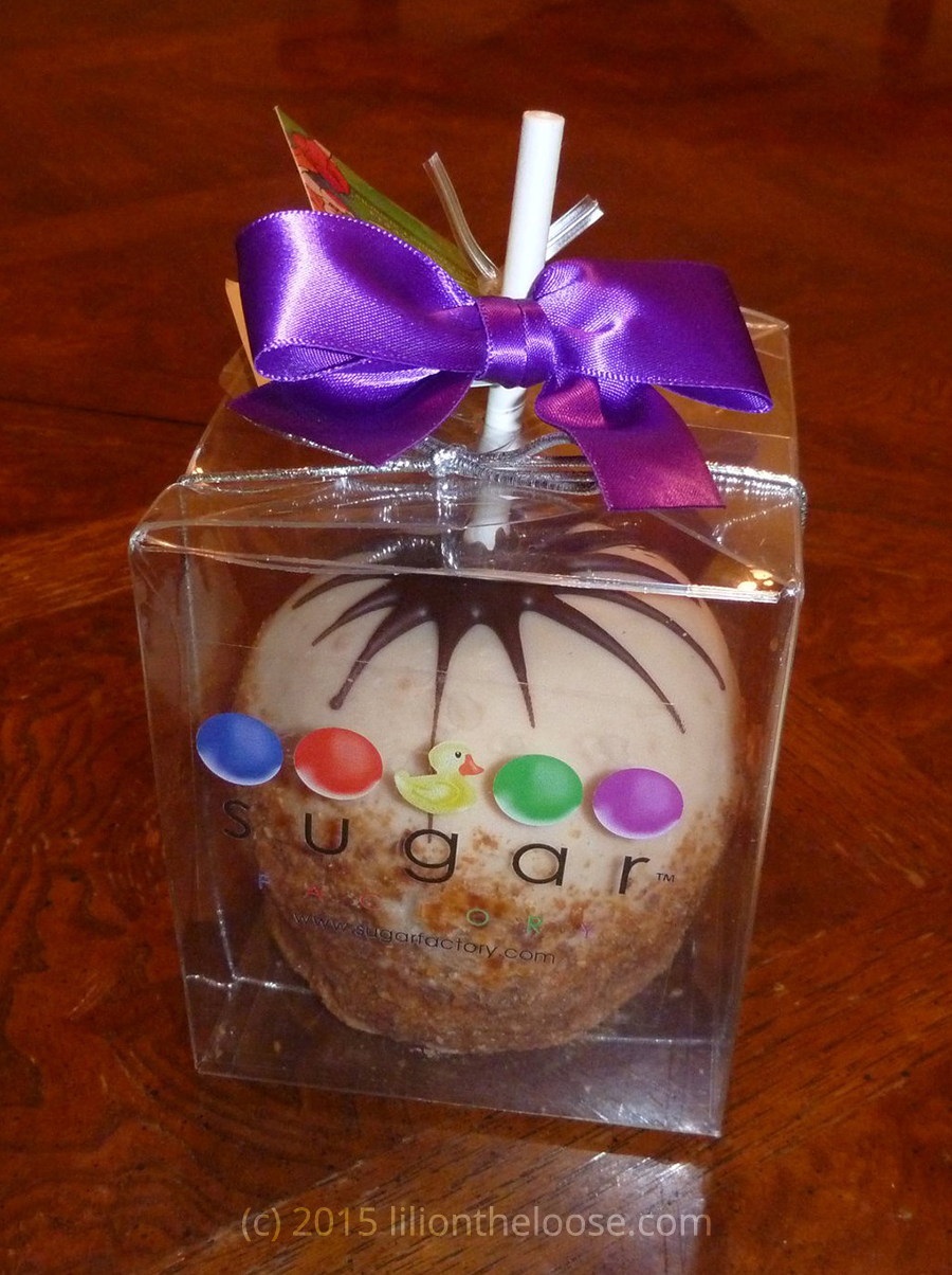 Souvenir Saturday Tasty Memory Lili on the Loose