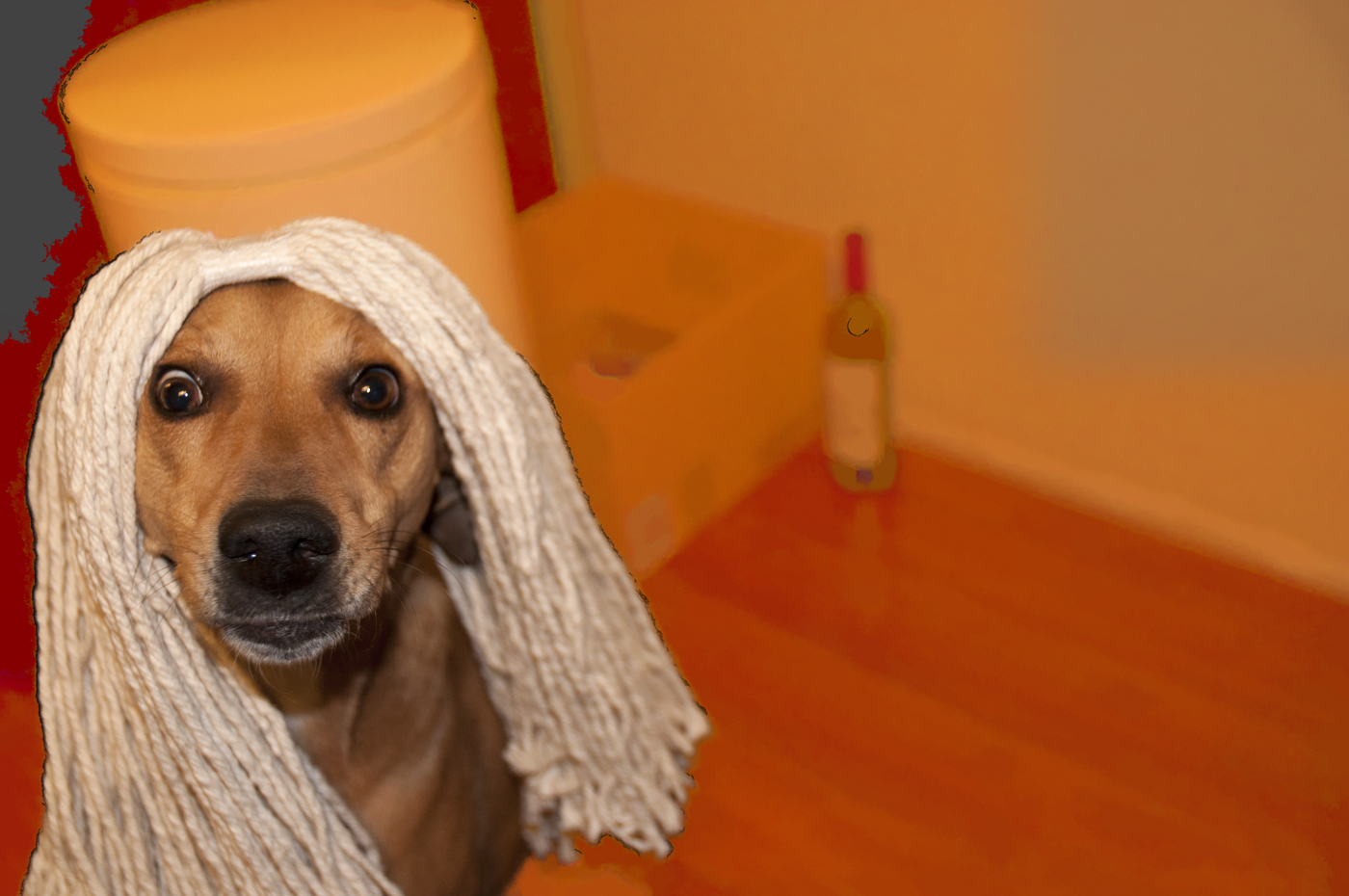 Lazy Sunday post, on a Friday. Lili's Notes