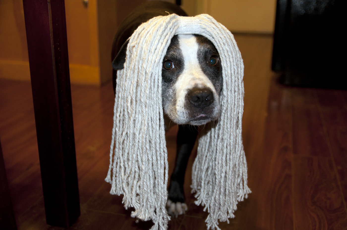 Lazy Sunday post, on a Friday. Lili's Notes