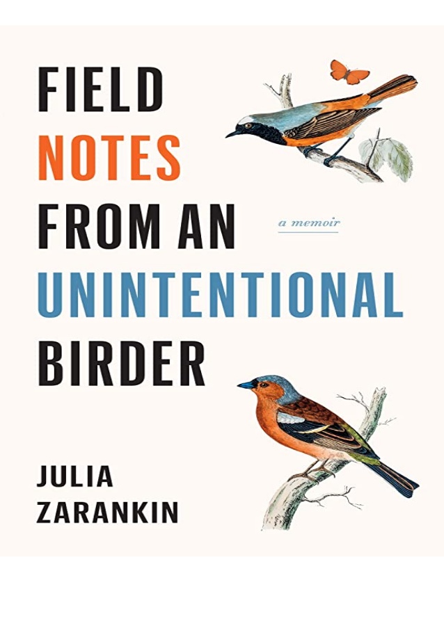 Field Notes from an Unintentional Birder Lilith Magazine
