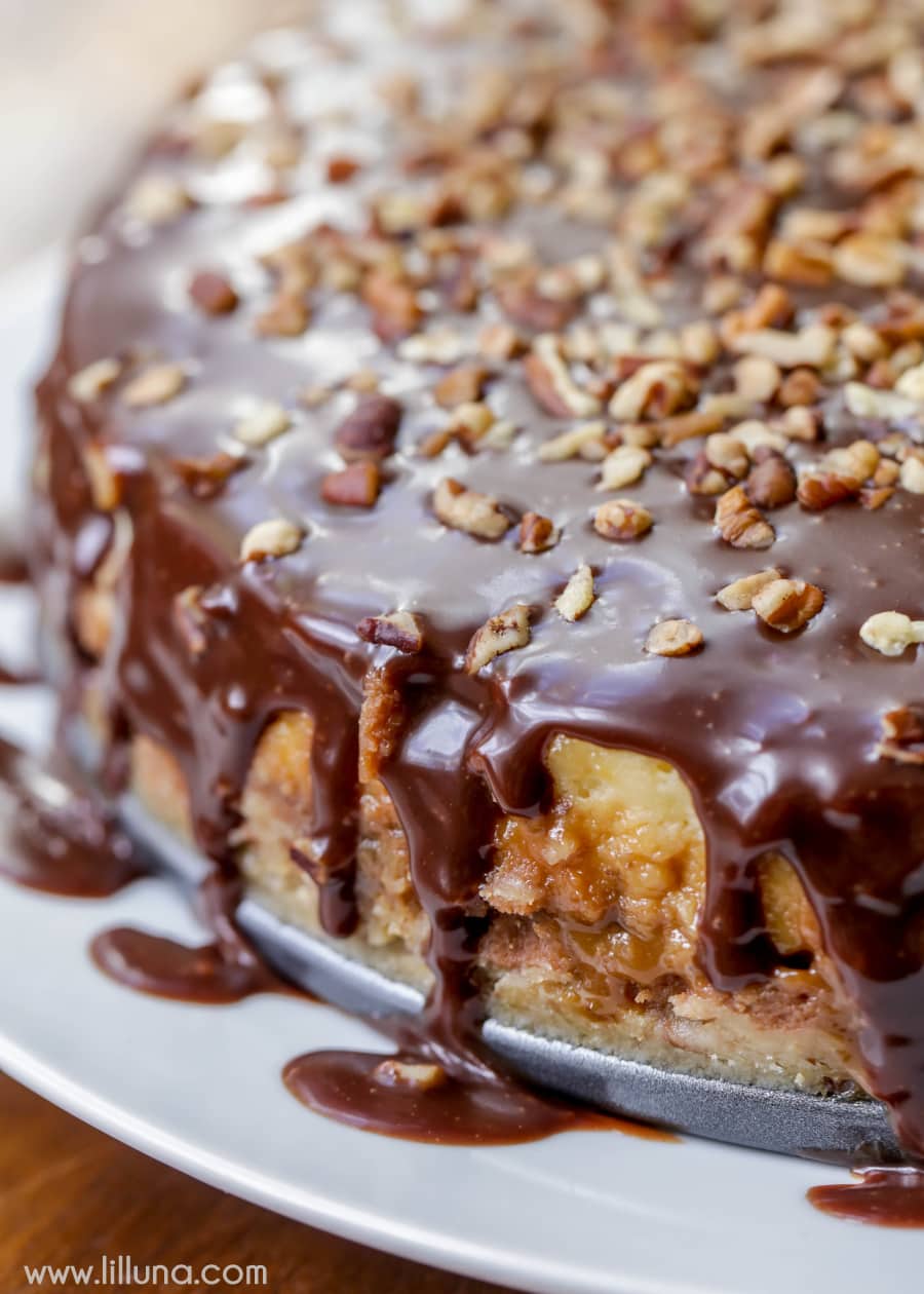 Turtle Cheesecake Lil' Luna