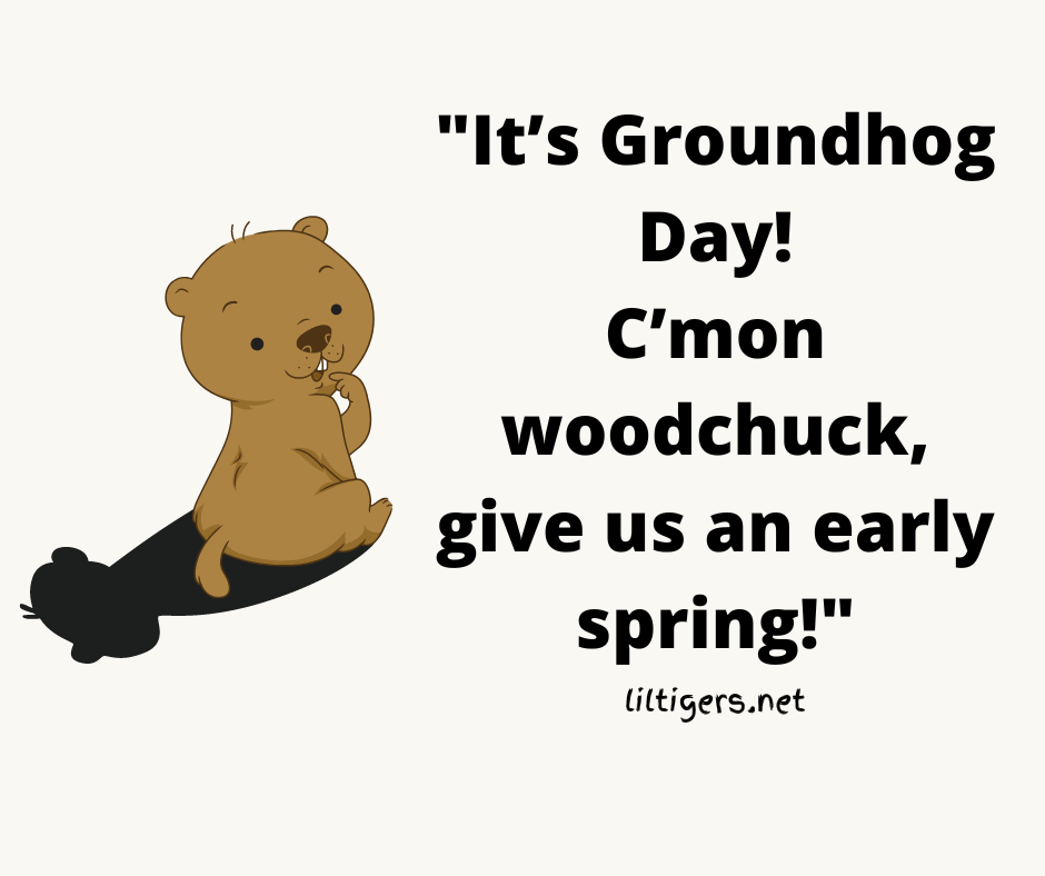 55 Happy Groundhog Day Quotes for Kids Lil Tigers