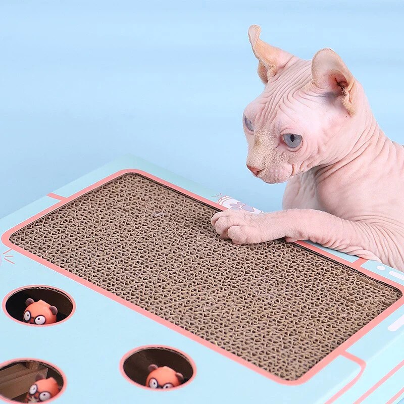 Best Cat Toys For Bored Cats That Entertain All Day