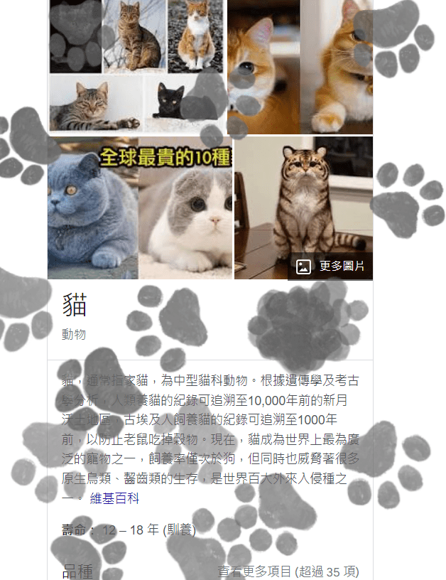 如果google了「貓」或「狗」會……被貓掌印跟狗掌印洗屏