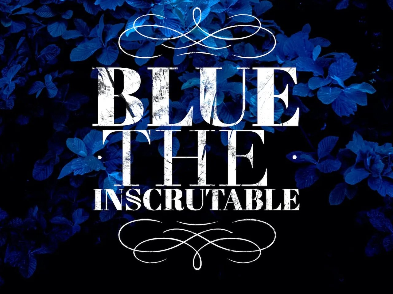 Blue the Inscrutable • Lily Morton