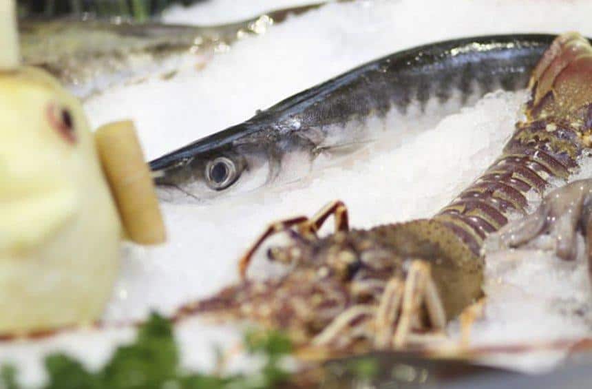 Charcoal Grill The Best Grill Restaurant in Limassol