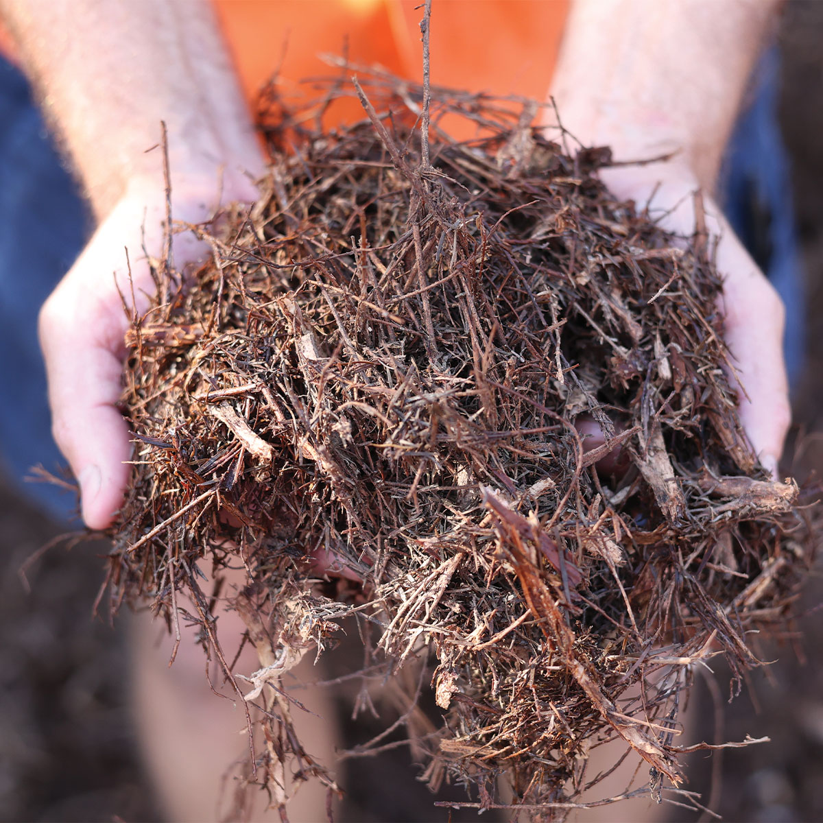 Tea Tree Mulch 1m3 Limberlost Garden Centre