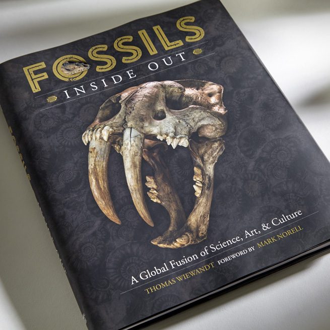 Fossils Inside Out Lime Design
