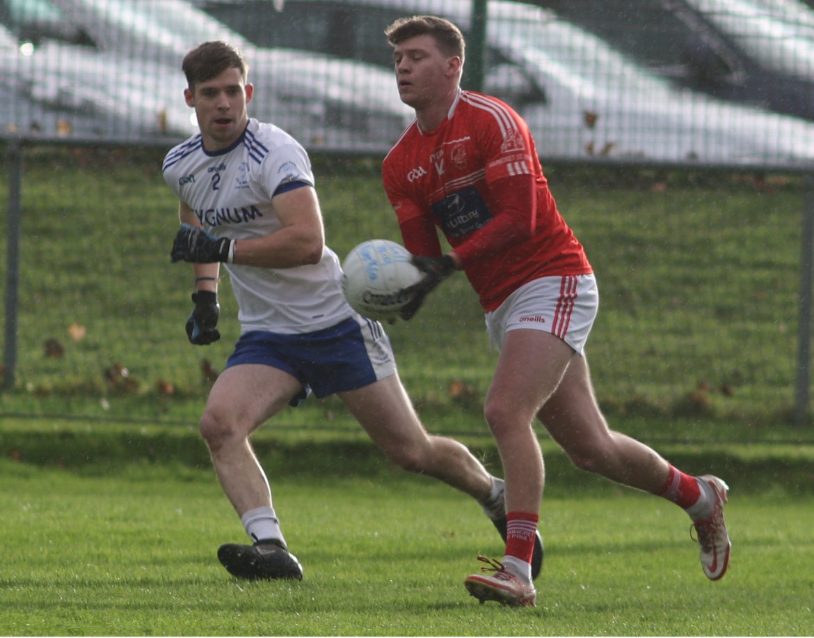 IMG_7234 Limerick GAA