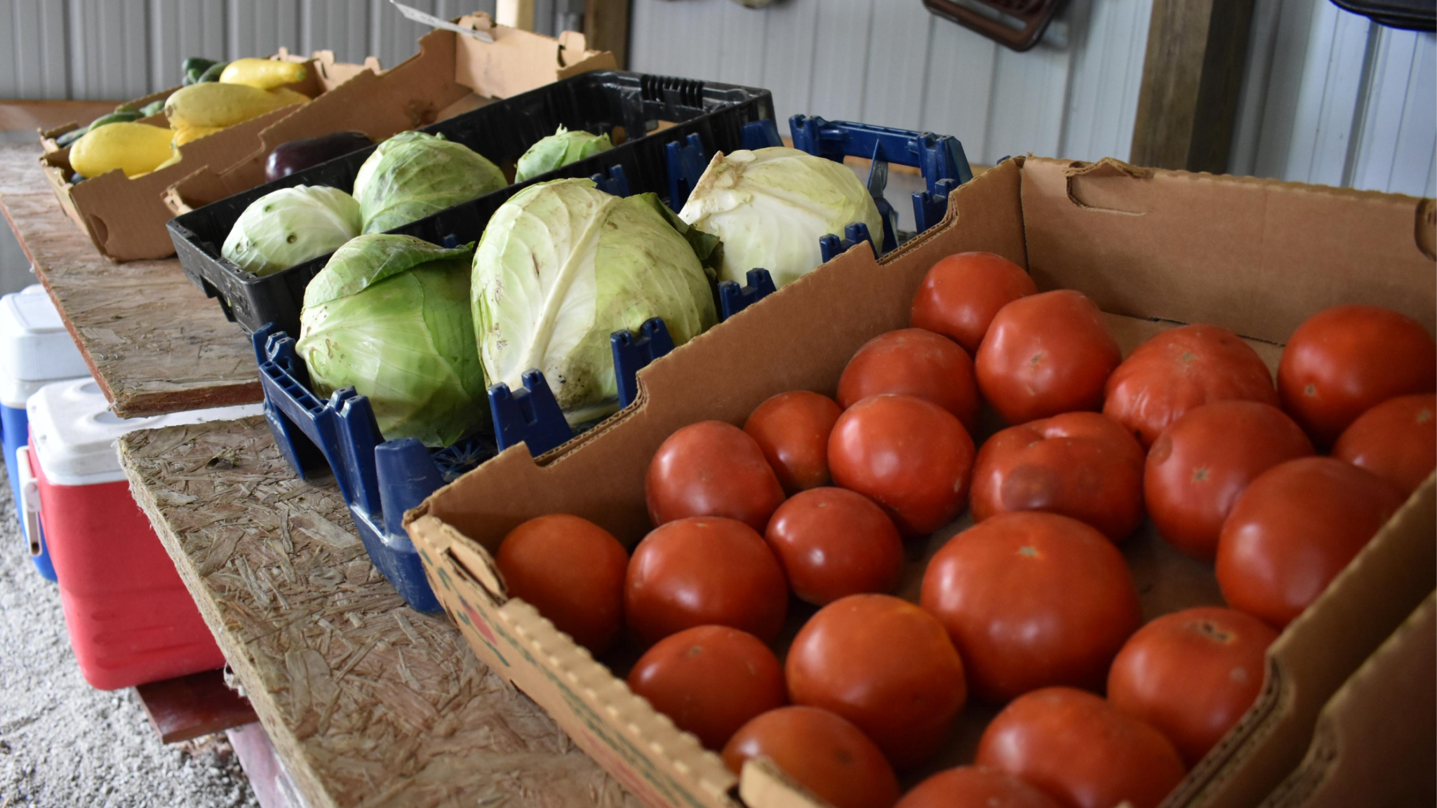 Hunters Greenhouse Limestone Country