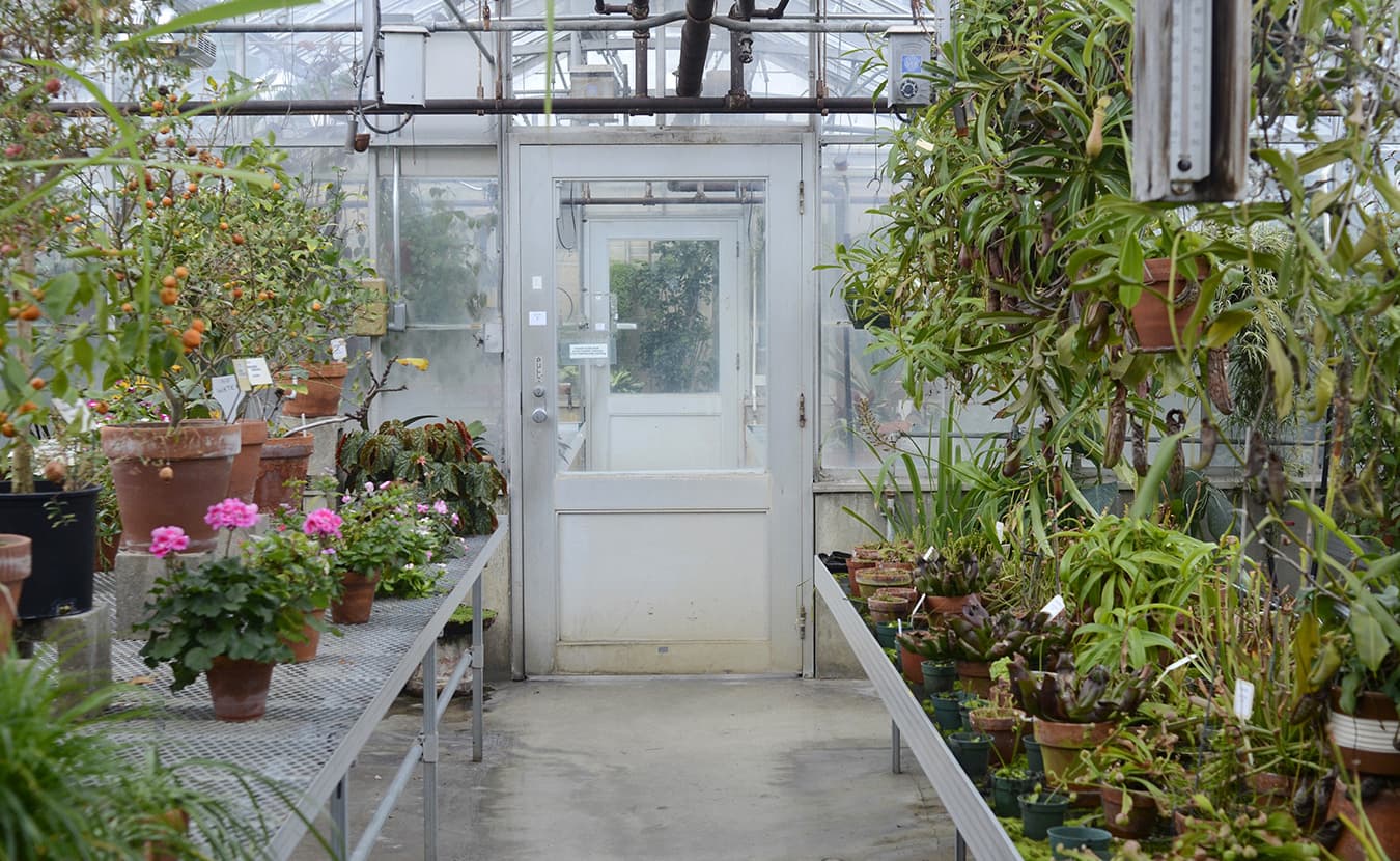 6 Things You Didn’t Know About the Jordan Greenhouses Limestone Post