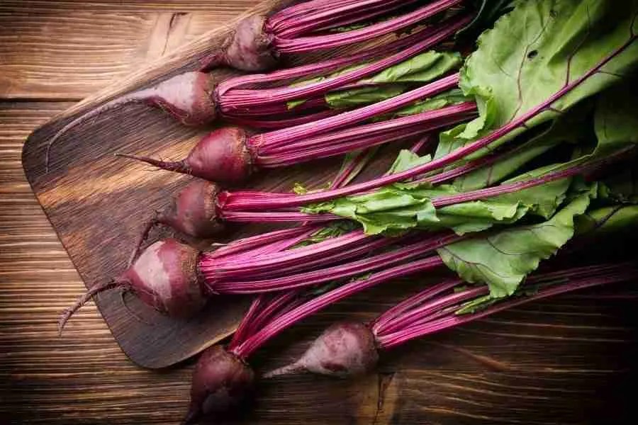 How to Grow Your Own Beets With Ease Limitless Growth Grow Guide
