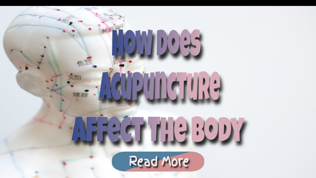 Acupuncture How Does Acupuncture Affect Our Body? LoS Acupuncture