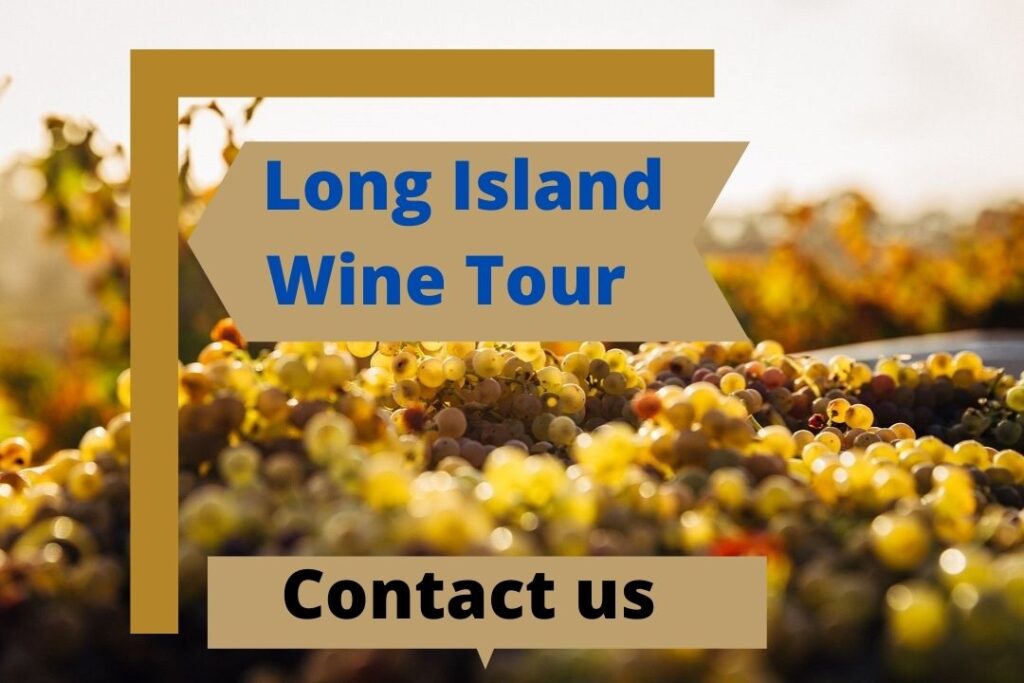 Long Island Wine Tour Choose An Appropriate Family Tour