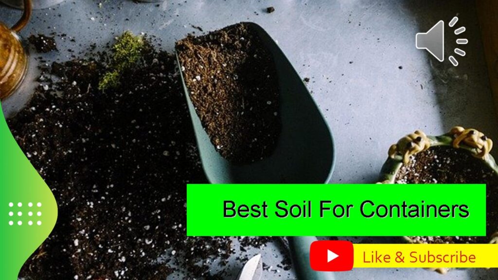 Best Soil For Containers Gardening Made Simple Limits of Strategy