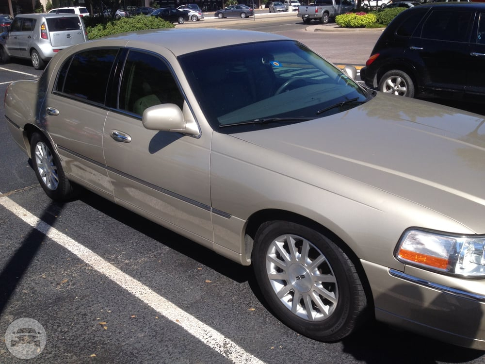Silver Lincoln Town Car Premier Limo DFW online reservation