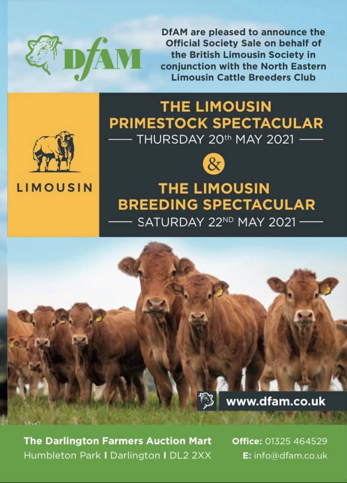 DARLINGTON SALE CATALOGUE British Limousin Cattle Society