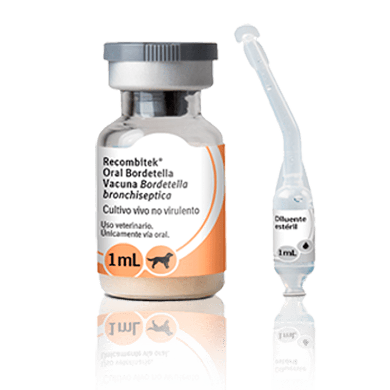 Oral Bordetella Linavet