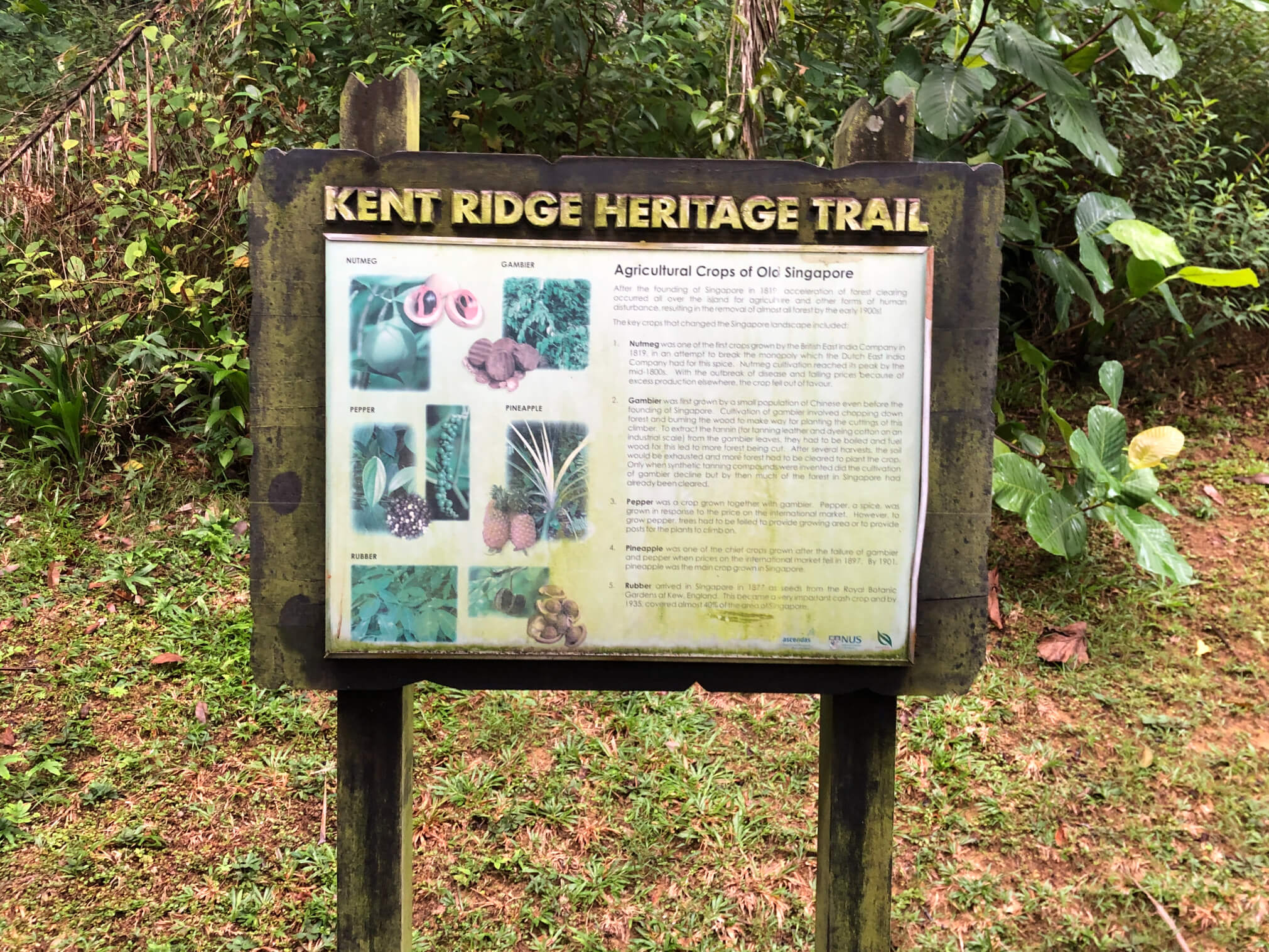 Kent Ridge park Avid for Life