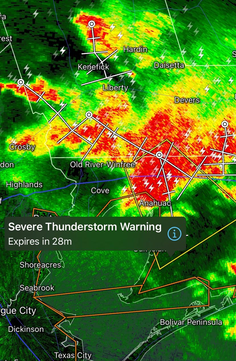 Floral Forecasting at Its Best Lagniappe