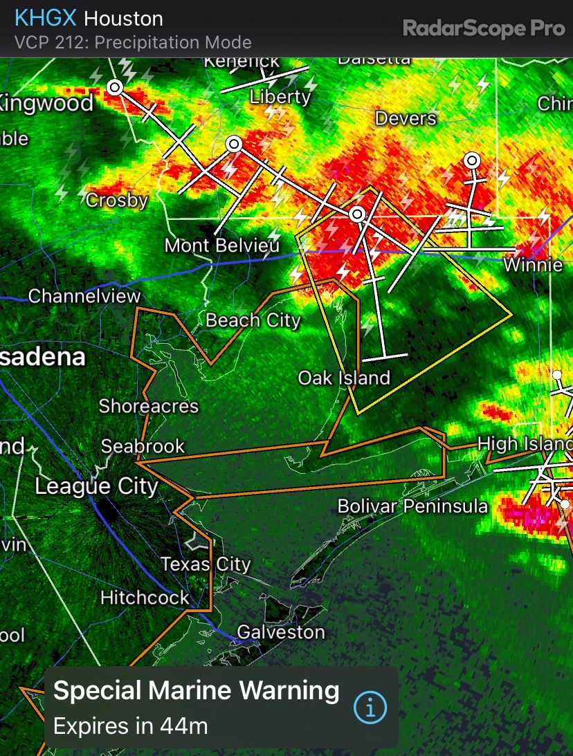 Floral Forecasting at Its Best Lagniappe