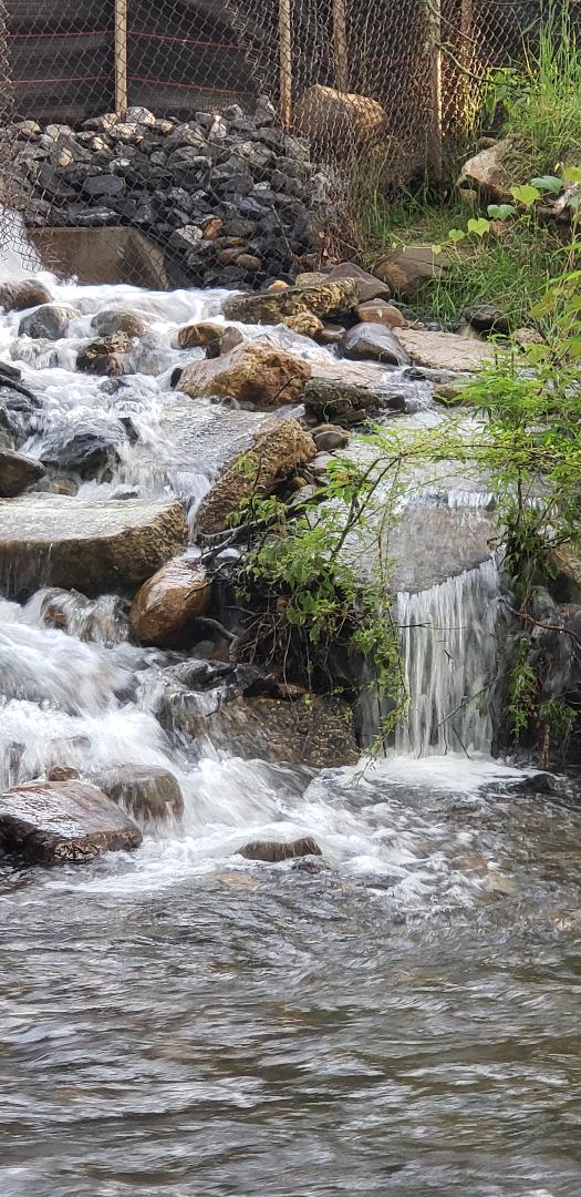 Review Moccasin Creek State Park Linda Lou's Life