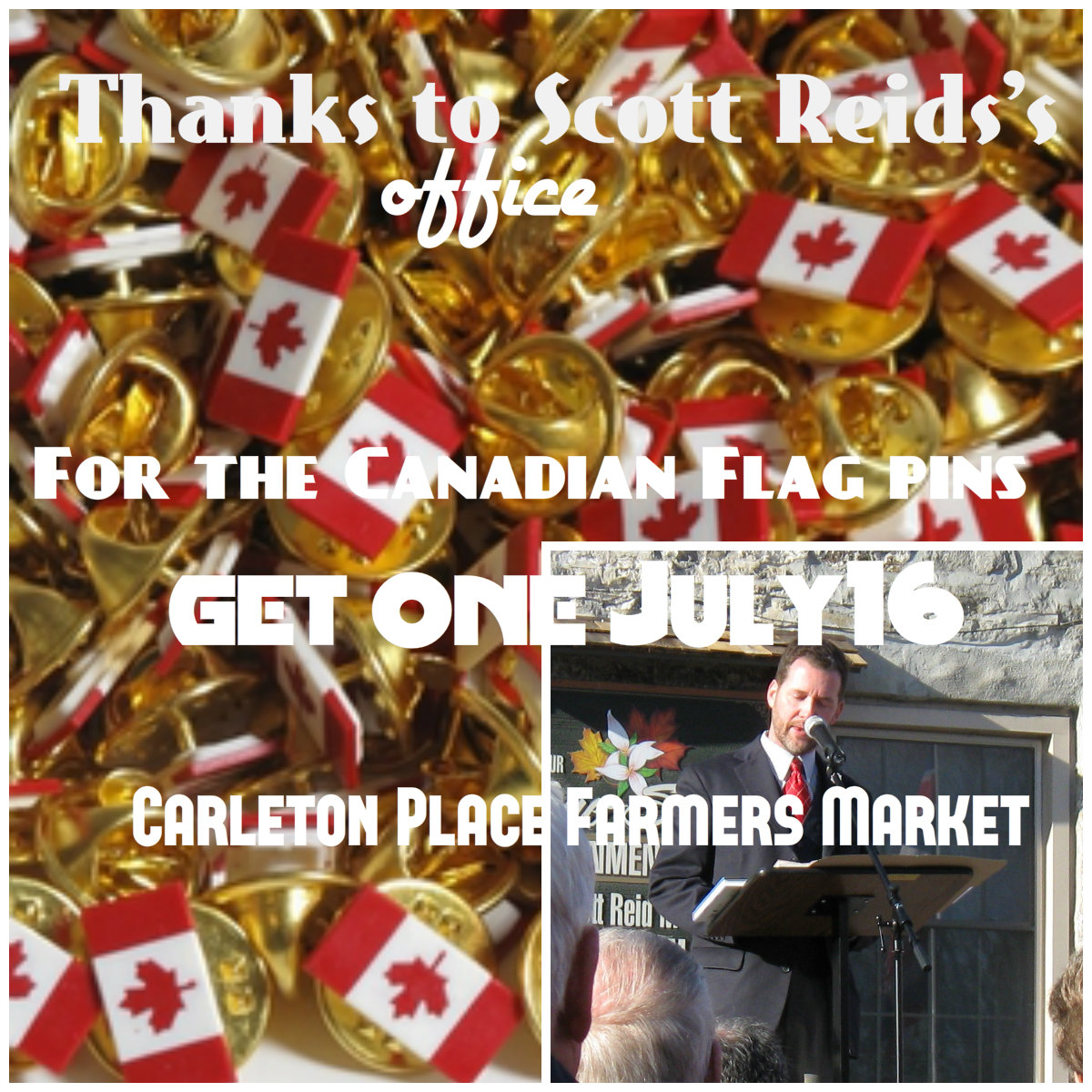 The Hidden Postcard Gallery in Carleton Place lindaseccaspina