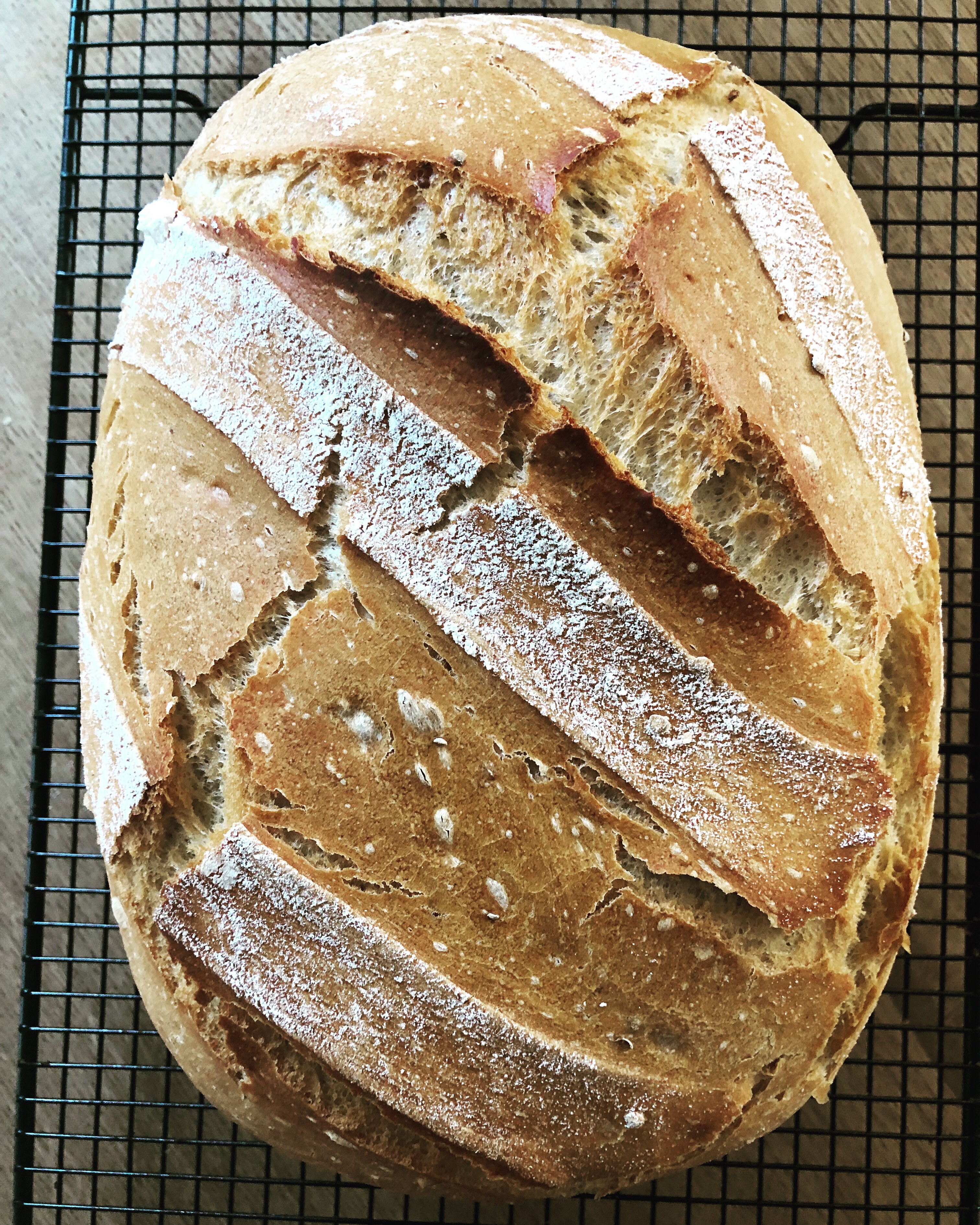 Helles Mischbrot mit kurzer Gehzeit Koch & Backblog Köln Thermomix®