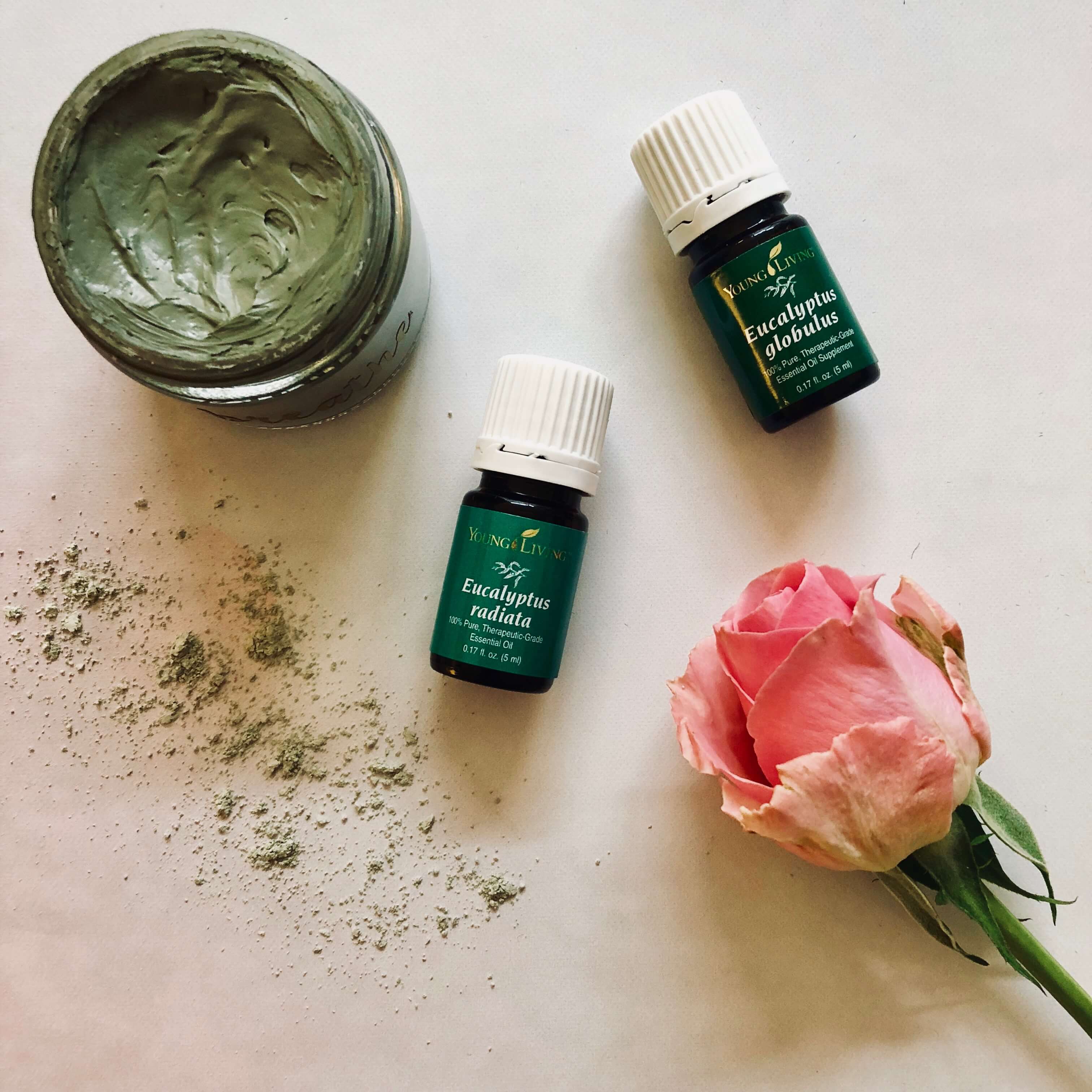 Skin Benefits of Green Clay Lindsey Elmore